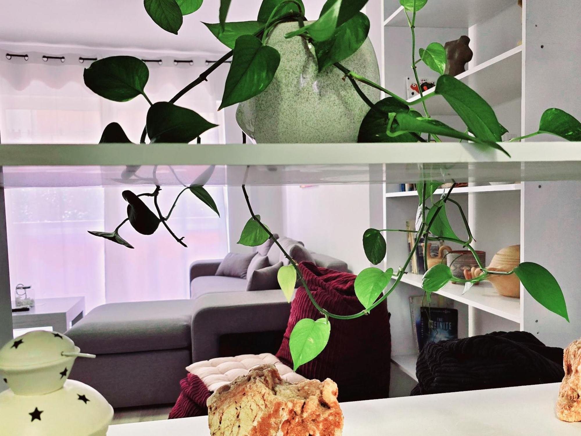 Micasatucasa Tirana Appartement Buitenkant foto